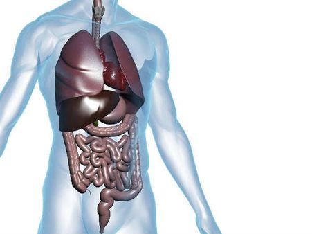 10. Helps in detoxification