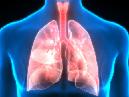 10. Improve respiratory health 10. Improve respiratory health