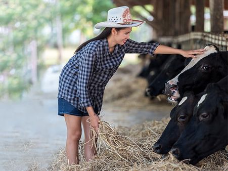 4. Provide Free Meals To Poor And Animals 4. Provide Free Meals To Poor And Animals