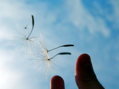 Letting Go Letting Go