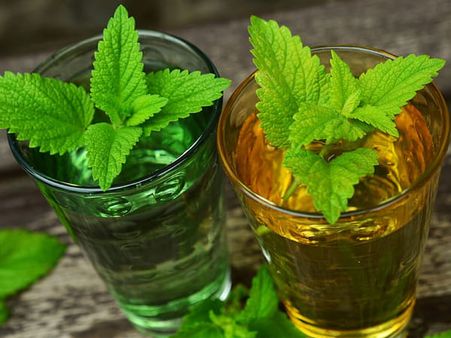 2. Lemon balm tea