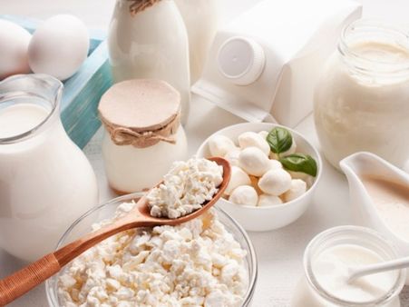 6. Fermented Dairy Products