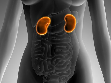 Symptoms Of Kidney Failure