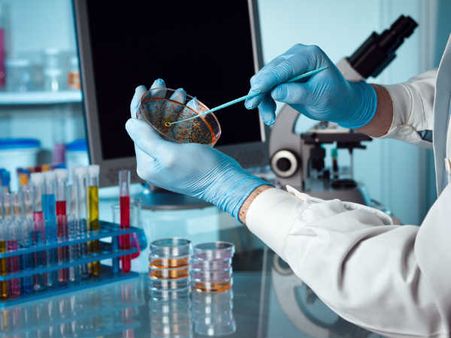 How Is Bird Flu Diagnosed? 