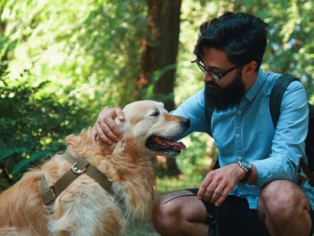 10. Myth: Pets can spread the new coronavirus