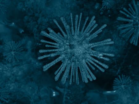 Vitamin C And SARS-CoV