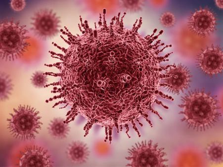 What Happens After Coronavirus Enters The Body?