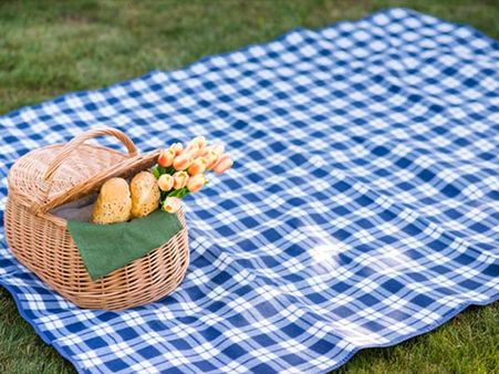 9. Organise An Indoor Picnic 9. Organise An Indoor Picnic