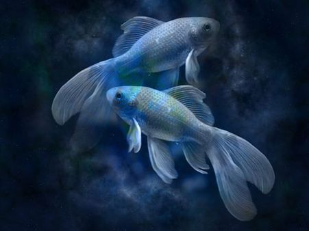 12. Pisces (February 19- March 20)