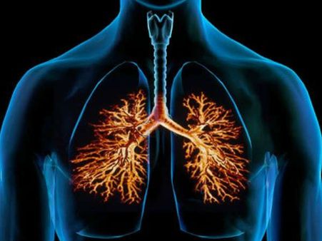 What Organs Are Affected By Coronavirus?