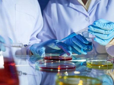 What Did The Study Reveal?