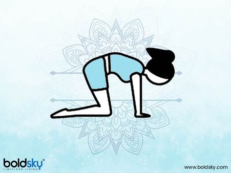 10. Cat pose (Marjariasana) 10. Cat pose (Marjariasana)