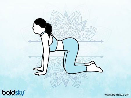 12. Cow pose (Bitilasana) 12. Cow pose (Bitilasana)