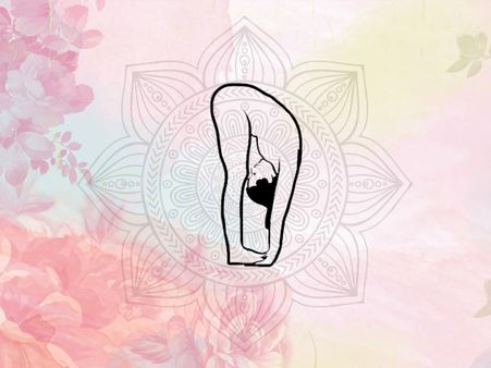 3. Standing forward bend (Uttanasana) 