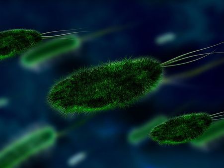 Can Earwax Buildup Cause Infections?