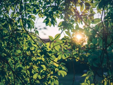 Sunny Countries Show Low Mortality Rates From COVID-19