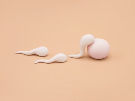 Does COVID-19 Damage Male Fertility?