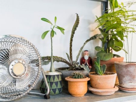 Ways To Minimise The Cons Of Sleeping With A Fan On