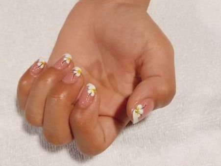 Blossoming White Daisies