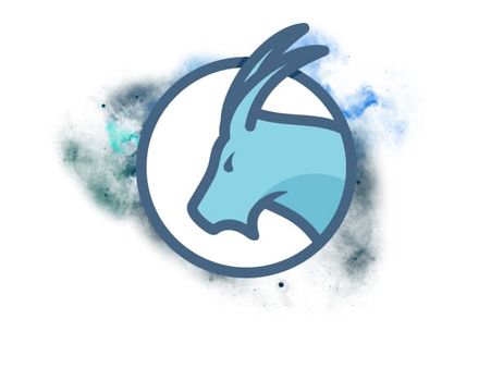 Capricorn (22 December- 19 January) Capricorn (22 December- 19 January)