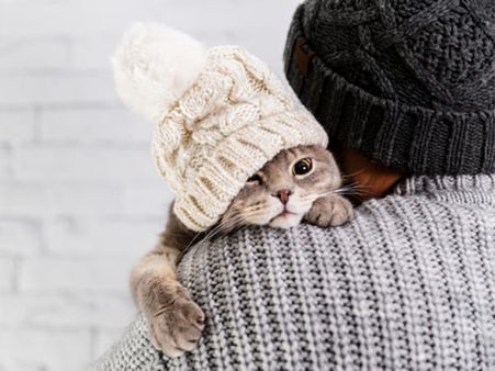 5. It Shows You Have Empathy And Compassion