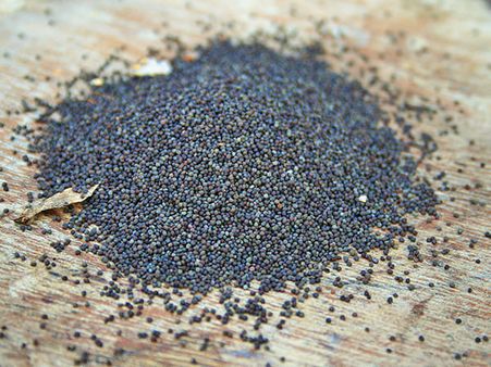 10. Donate Mustard Seeds And Other Black Grains