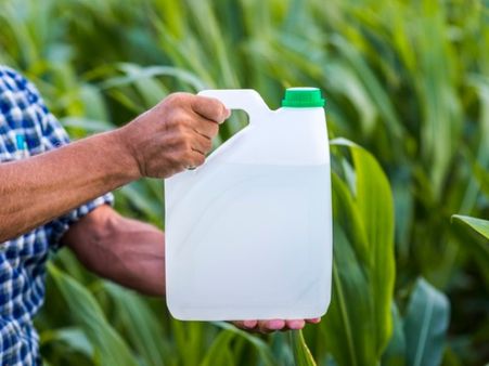 What Are The Preventive Measures For Bubonic Plague?