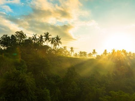 What Is Ultraviolet (UV) Radiation?