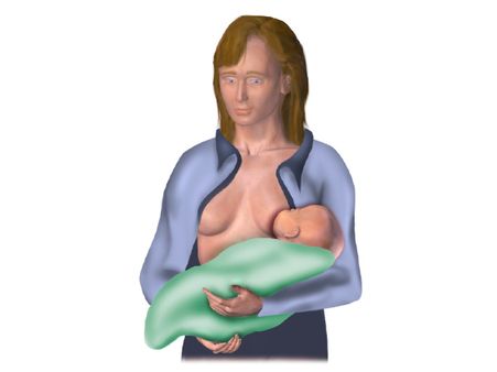 1. Cradle hold position 