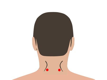 5. Gates Of Consciousness (Back Of The Head)