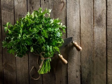 9. Parsley (Ajamod)