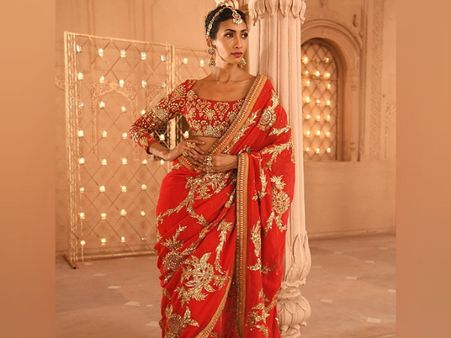 The Embroidered Red Saree For The Bride