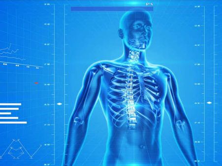 5. Fights oxidative stress