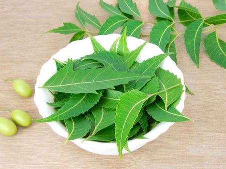 11. Neem