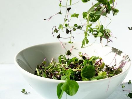 Ways To Include Microgreens In Your Diet