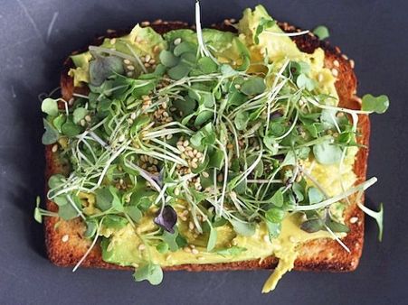 Microgreen Recipes