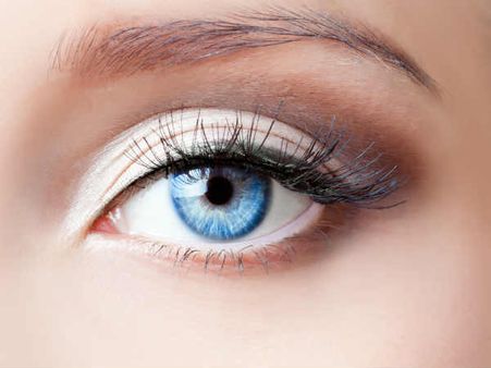 2. Maintains healthy eyes 2. Maintains healthy eyes