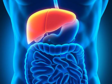 3. Improves liver health