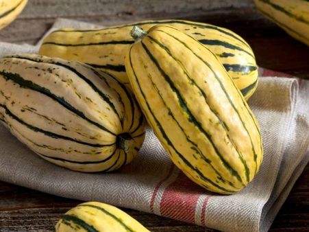 How To Select And Store Delicata Squash