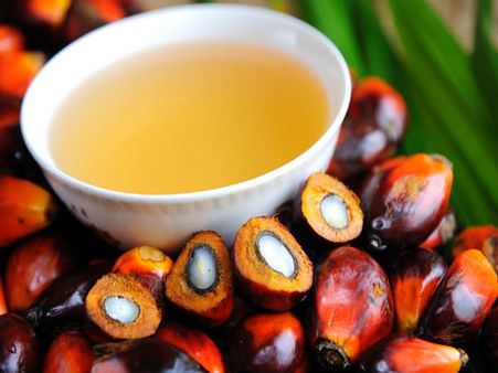 4. Palm oil