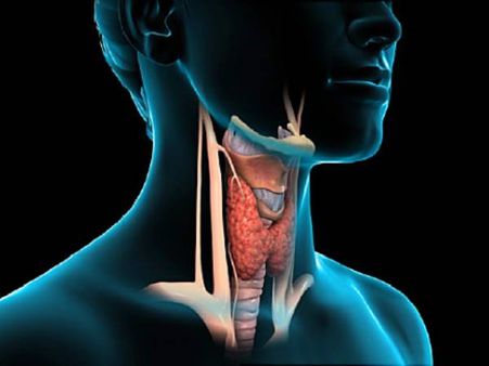 10. Thyroid Functionality Improvement