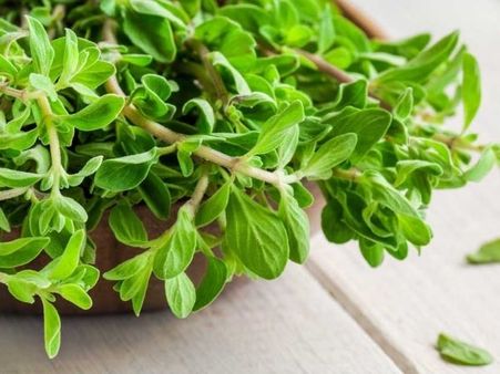 10. Marjoram essential oil