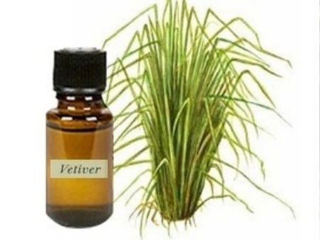 7. Vetiver essential oil