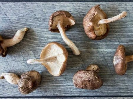 6. Shittake Mushrooms 6. Shittake Mushrooms