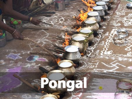 8. Pongal: 14 January 2021