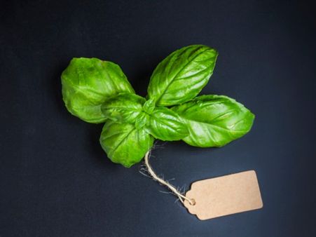 What Should You Look For In Food Labels?