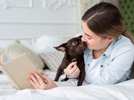 5. Play With Your Pet