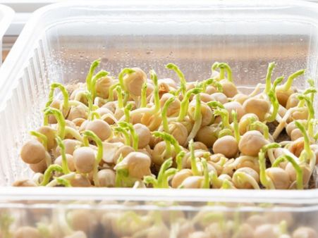 6. Sprouts 