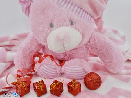 Pink Teddy Bear
