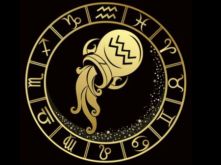 Aquarius 20 January - 18 February